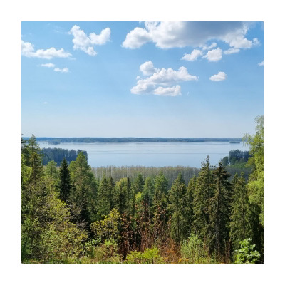 From FINLAND：フィンランドの森「metsä （メッツァ）」から イメージ