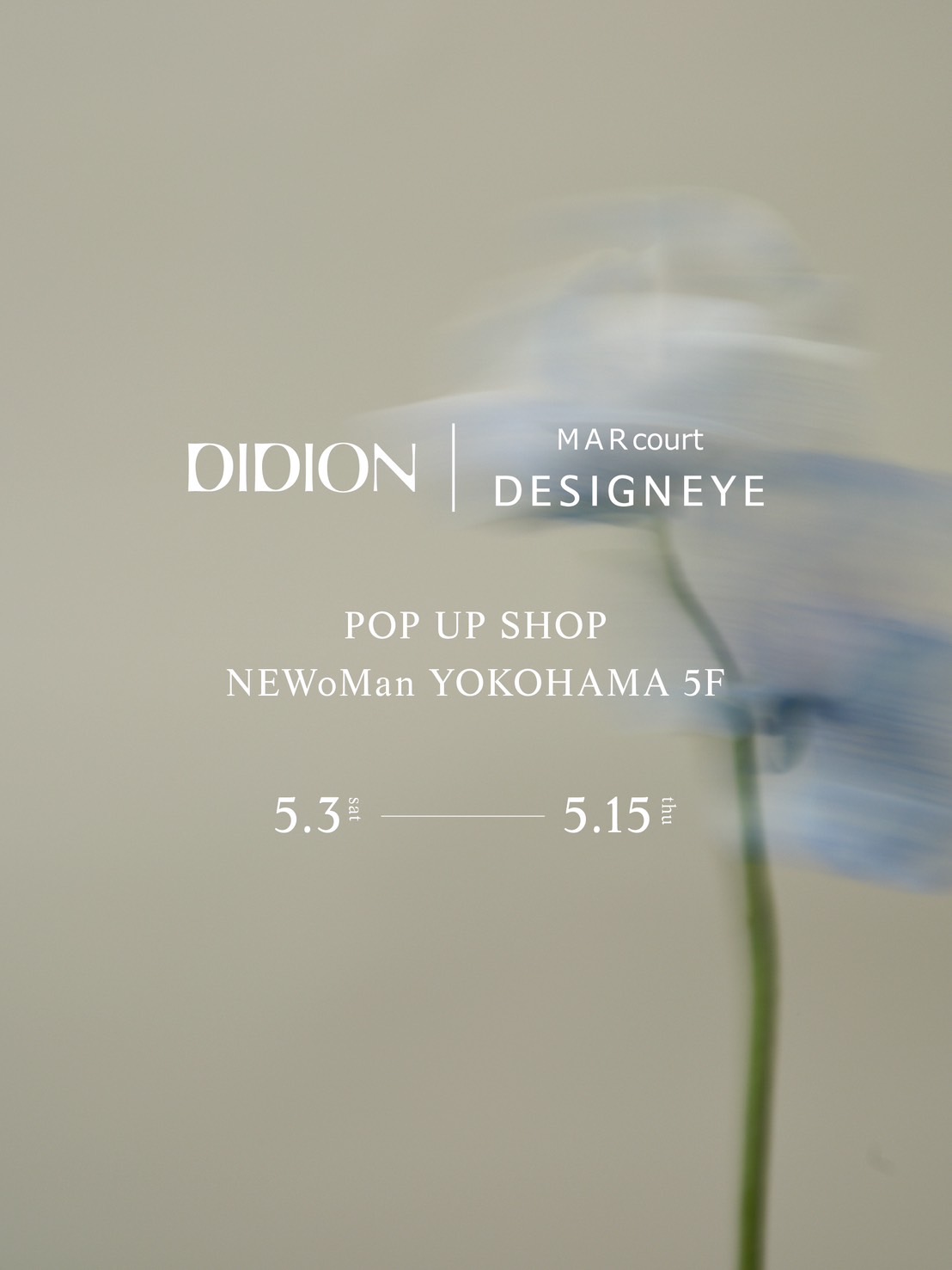 DIDION POP UP STORE
