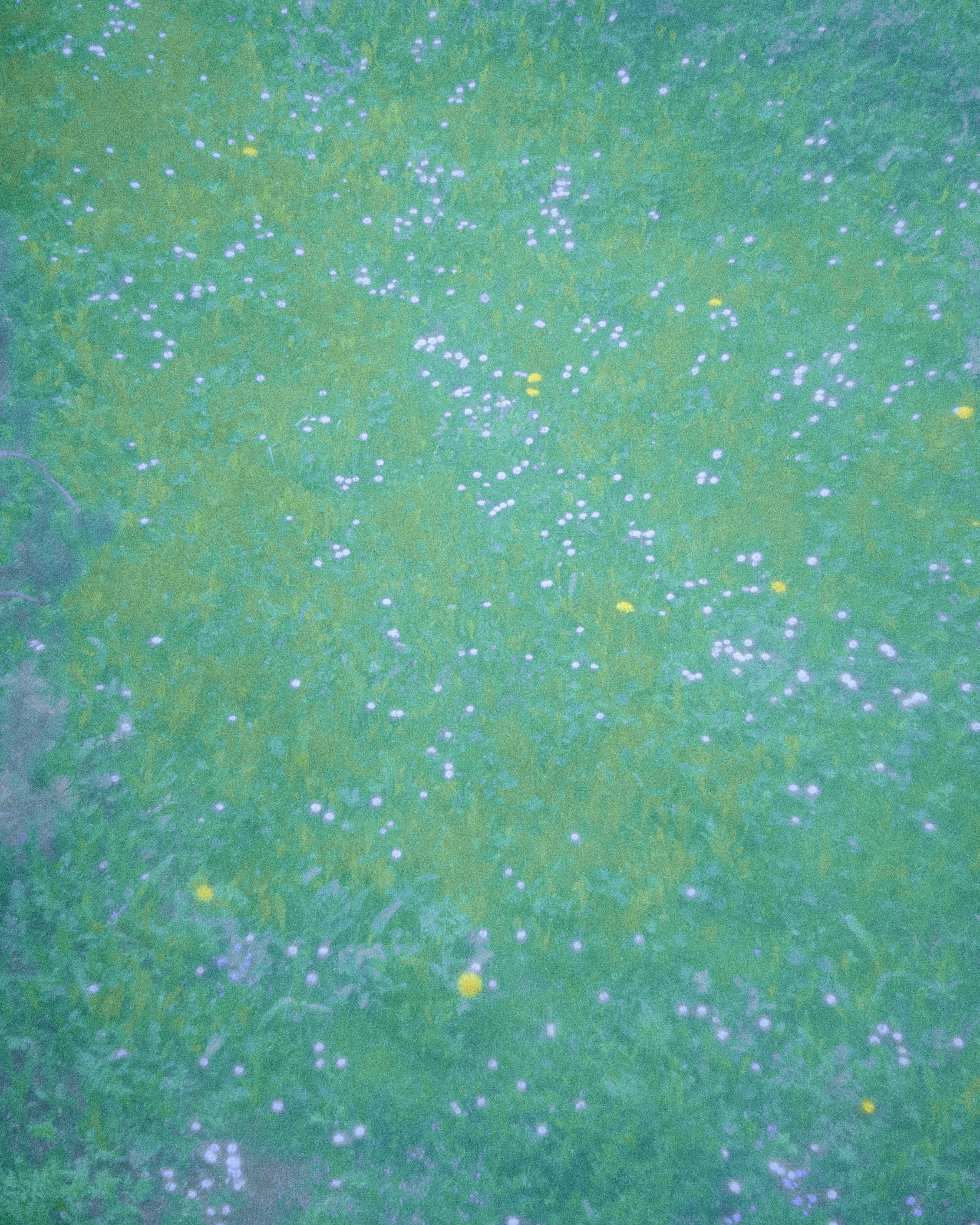 July