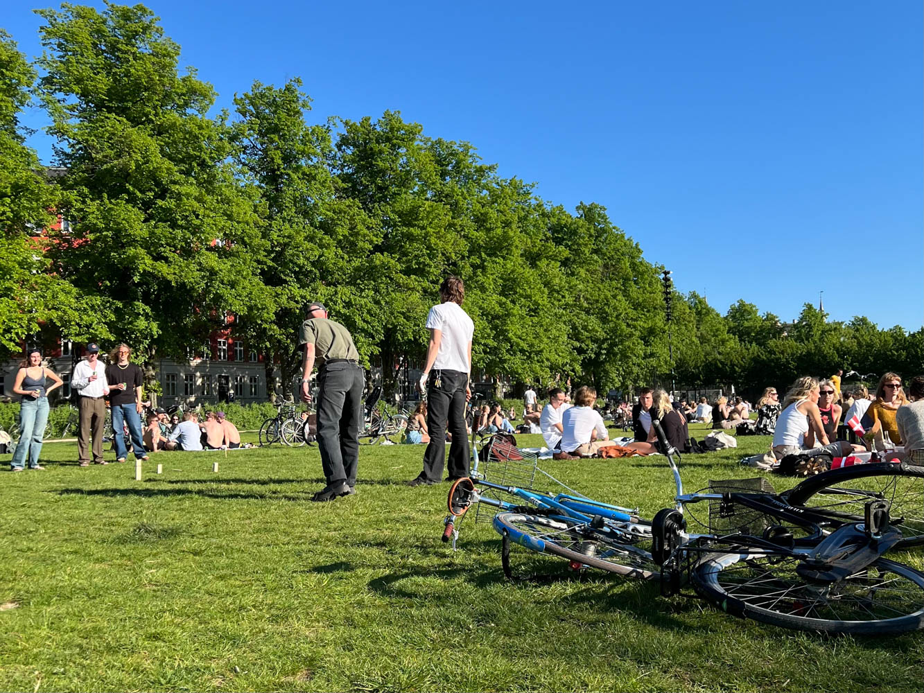 賑わう晴れた日の公園。画面左では大人たちがモルック（木の棒を投げて競うゲーム）で遊んでいます。