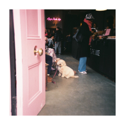 Monthly photo : December イメージ