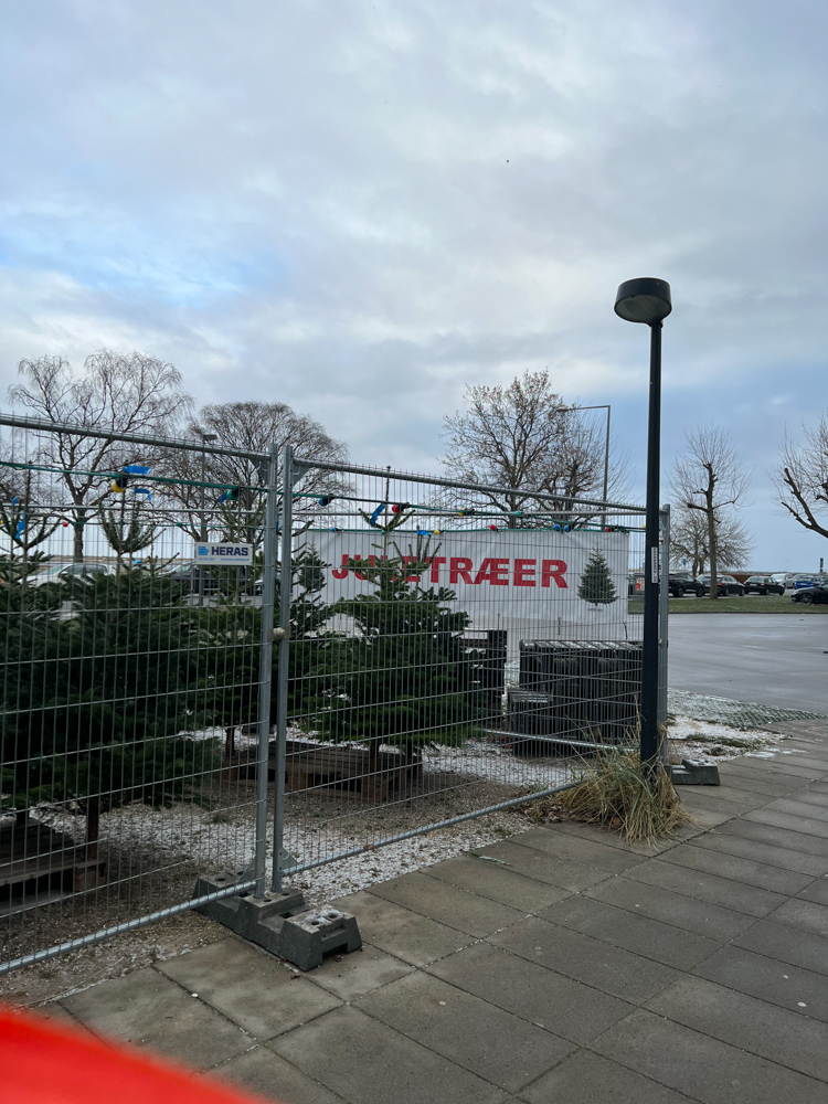 ツリーショップ。この時期になると購入したツリーを担いで歩く人をよく見かけます(笑)。