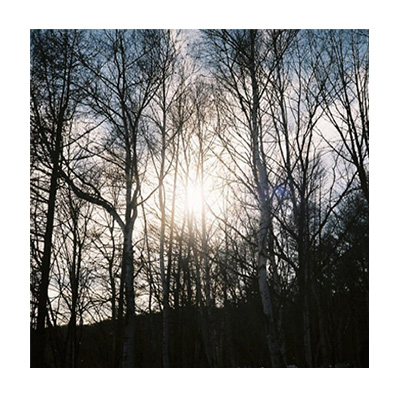 Monthly photo：Junuary イメージ