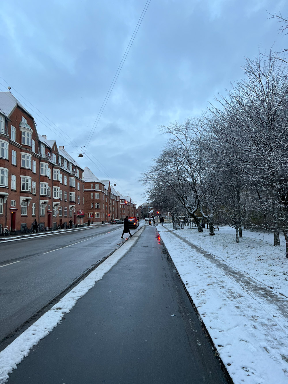 冬になると自転車道は定期的に除雪され、塩が撒かれます。道が凍るのを防ぐためとか。