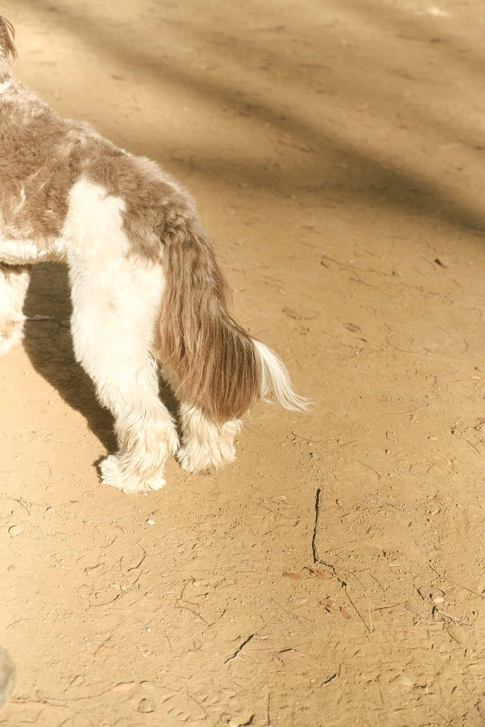 MidiUmi 2026 Spring / Summer 44