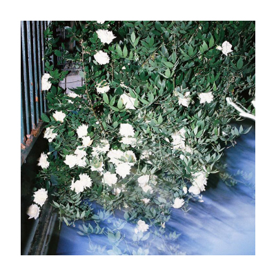 Monthly photo :  March イメージ